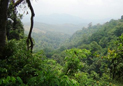  Kudremukh